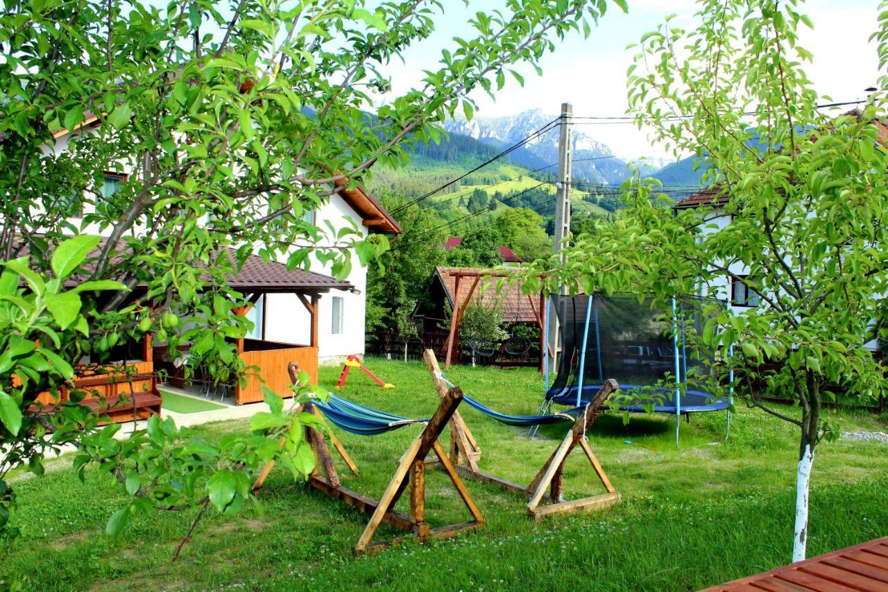 Milea'S Guesthouse Bran  Exterior foto